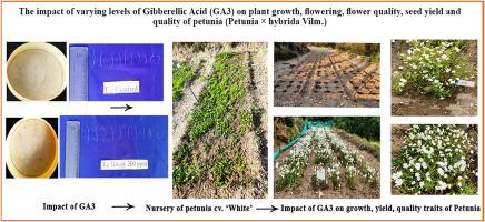 The impact of varying levels of Gibberellic Acid (GA3) on plant growth, flowering, flower quality, seed yield, and quality of Petunia(Petunia × hybrida Vilm.)