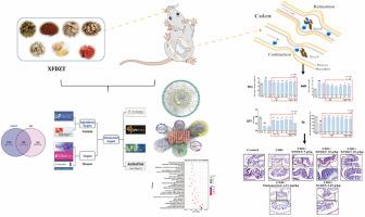 Improvement effect and mechanism of XuanFuDaiZhe tang on rats with diarrheal irritable bowel syndrome induced by colorectal dilation