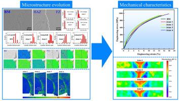 Microstructure and mechanical properties of electron beam welding of AlCoCrFeNi2.1 eutectic high entropy alloy