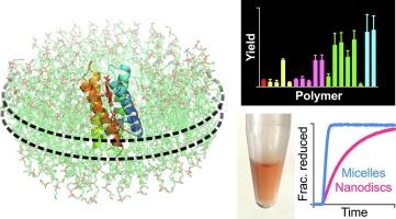 Polymer nanodiscs support the functional extraction of an artificial transmembrane cytochrome