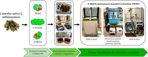 Microwave-assisted extraction of phytochemicals from Cannabis sativa L. inflorescences with 2-methyloxolane