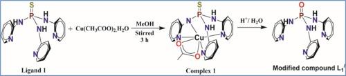 Synthesis, Characterization, Crystal structure determination and DFT study of a six coordinated Cu (II) complex of a phosphorous based tris-(2-pyridinylamino) phosphene sulphide ligand and its acid catalysed hydrolysis