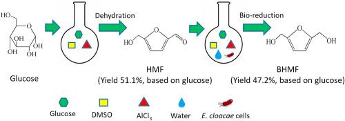 In-situ chemobiocatalytic conversion of glucose into 2,5-bis(hydroxymethyl)furan by AlCl3/Enterobacter cloacae in biocompatible DMSO-water solvent