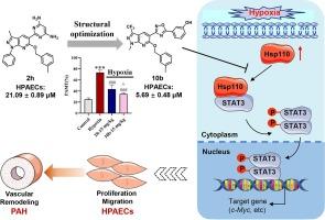 Design, synthesis and optimization of pyrazolo[3,4-b] pyridine derivatives as Hsp110-STAT3 interaction disruptors for the treatment of pulmonary arterial hypertension