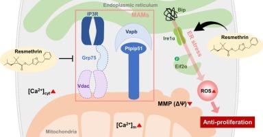 Resmethrin disrupts mitochondria-associated membranes and activates endoplasmic reticulum stress, leading to proliferation inhibition in cultured mouse Leydig and Sertoli cells