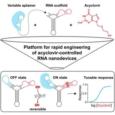 Engineering acyclovir-induced RNA nanodevices for reversible and tunable control of aptamer function