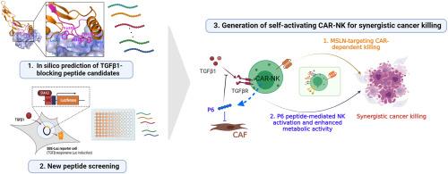 An innovative strategy harnessing self-activating CAR-NK cells to mitigate TGF-β1-driven immune suppression