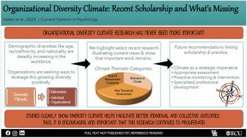 Organizational diversity climate: Recent scholarship and What's missing