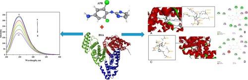 Investigation of the molecular interaction between apraclonidine, an α2-adrenergic receptor agonist, and bovine serum albumin using fluorescence and molecular docking techniques