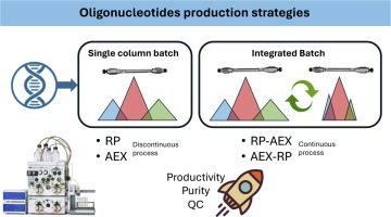 Integrated multidimensional chromatography on preparative scale for oligonucleotides purification