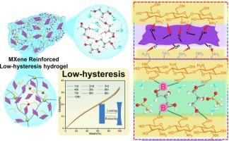 Low mechanical-hysteresis conductive hydrogel conferred by chitosan bridging and MXene nanoconfined mechanism