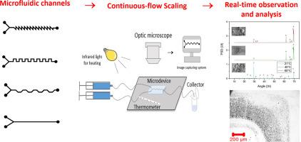 Salt scaling dynamics in microfluidic channels: Impact of channel geometry and process parameters