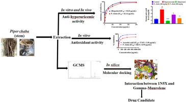 Antioxidant, xanthine oxidase (XO) inhibitory, hypouricemic effect evaluation and GCMS analysis of ethanolic extract of Piper chaba stem: Supported by in vitro, in vivo, and molecular docking experiments