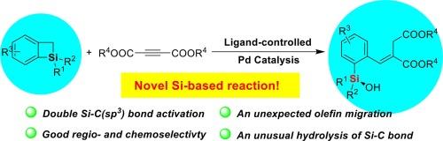 Palladium-catalyzed double activation of Si-C(sp3) bond of benzosilacyclobutenes synergized with unexpected olefin migration and ring-opening hydrolysis