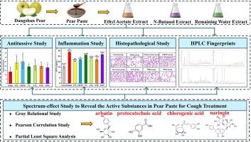 Identification of active substances in pear paste for the treatment of cough in mice using spectrum-effect relationship study