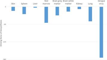 Biothermodynamic analysis of the Dengue virus: Empirical formulas, biosynthesis reactions and thermodynamic properties of antigen-receptor binding and biosynthesis