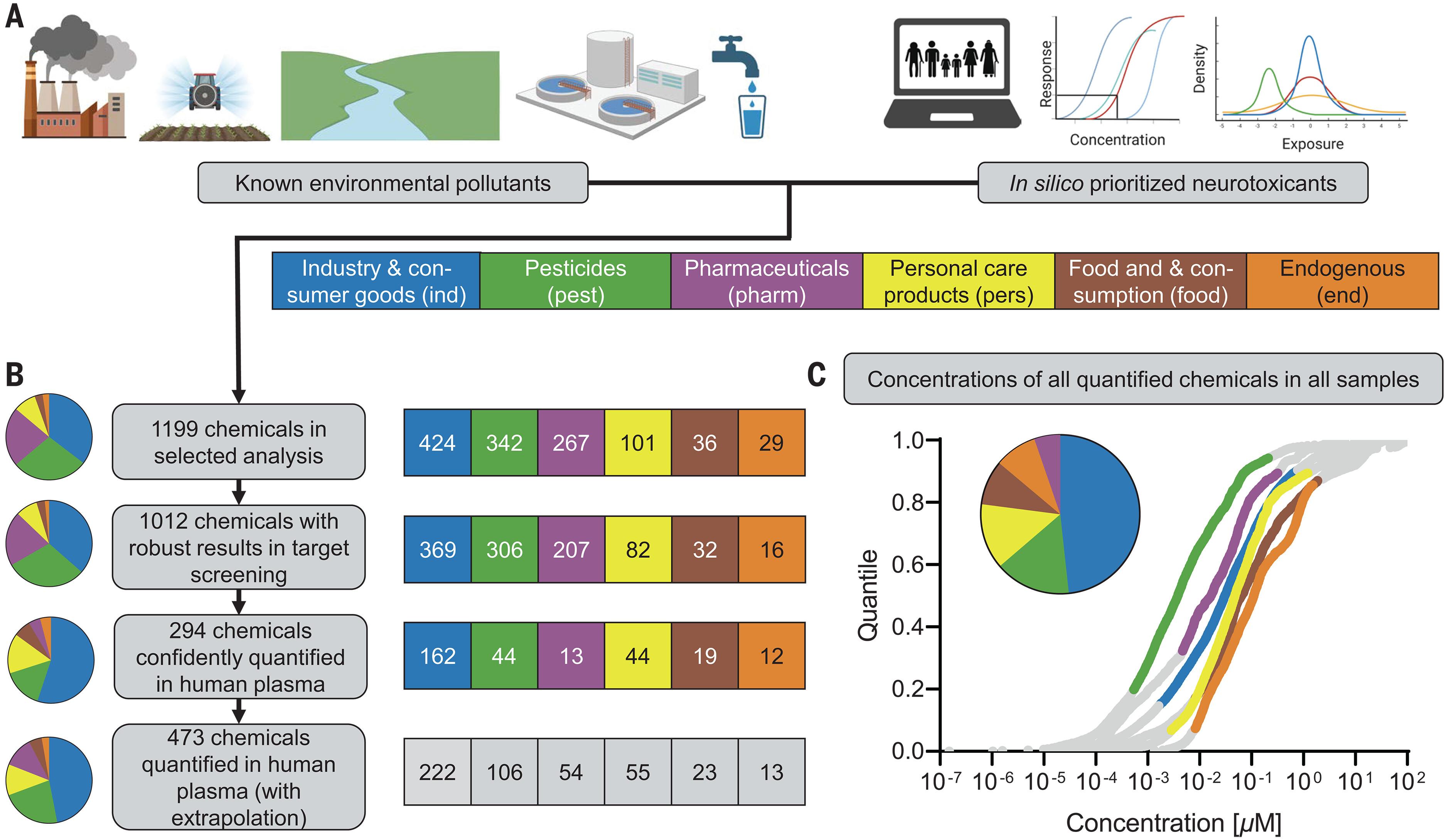 Neurotoxic mixture effects of chemicals extracted from blood of pregnant women