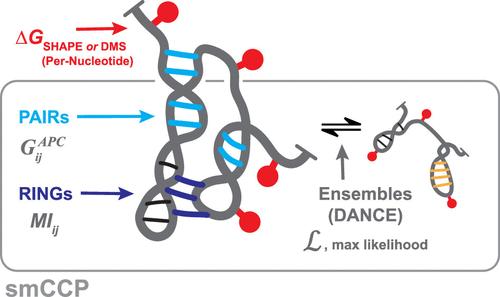 Fingerprinting Tertiary Structure in Complex RNAs Using Single-Molecule Correlated Chemical Probing