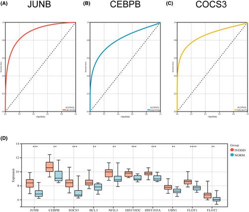 Identifying critical modules and biomarkers of intervertebral disc degeneration by using weighted gene co-expression network