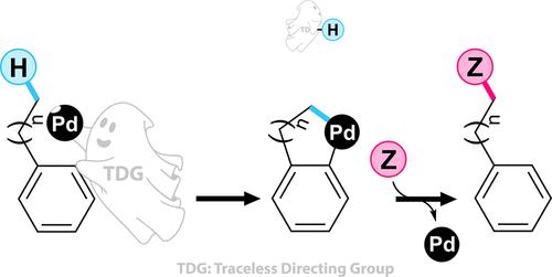 Advances in Palladium-Catalyzed C(sp3)–H Functionalization: The Role of Traceless Directing Groups