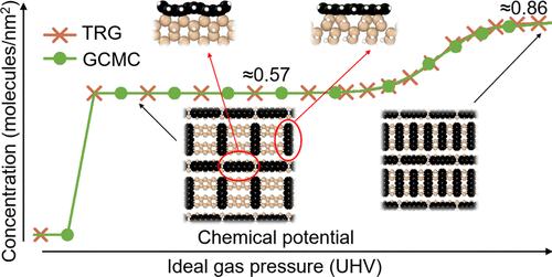 Initial Growth of the Pentacene Monolayer on a Si(001)-2 × 1 Substrate: A Lattice Model View