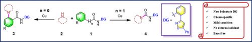 Copper(II)-Mediated Dual Reactivity of 2-(5-Phenylisoxazol-3-yl)aniline: Directed Amination and Oxidative C(═O)─C Cleavage of Amides Enabling Direct Access to Urea Derivatives