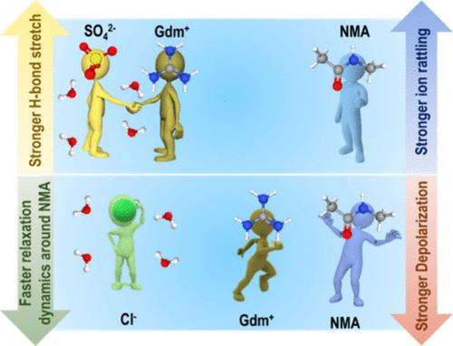 Ion-Pairing Propensity in Guanidinium Salts Dictates Their Protein (De)stabilization Behavior