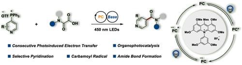 Site-Selective Pyridine Carbamoylation Enabled by Consecutive Photoinduced Electron Transfer