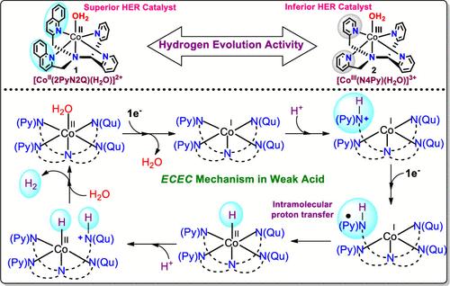 Effect of Redox-Active Quinoline on the Reactivity and Mechanism of Hydrogen Evolution Reaction (HER) with Pentadentate Polypyridyl-Quinolyl Ligand-Coordinated Cobalt Complex