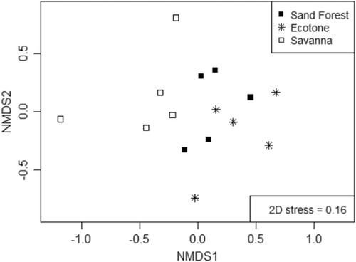 Diversity, Composition and Distribution Patterns of Spiders (Arachnida: Araneae) in Sand Forest, South Africa