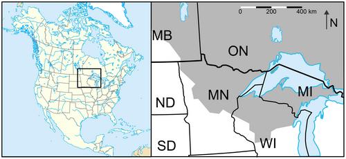 Comparing Genetic Ne Reconstructions Over Time With Long-Time Wolf Monitoring Data in Two Populations