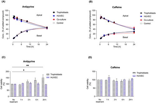 Modelling the maternal-fetal interface: An in vitro approach to investigate nutrient and drug transport across the human placenta