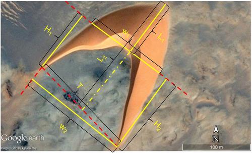 Morphology of Barchan Dunes on Earth and Mars: Classification and Scale-Invariance