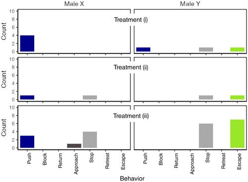 Fight, retreat, repeat: The male–male agonistic behavior in the wood-feeding cockroach, Panesthia angustipennis spadica (Dictyoptera: Blattodea: Blaberidae)