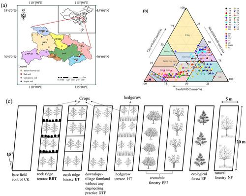 Soil organic matter characteristics of four soil types under different conservation strategies across Hubei Province