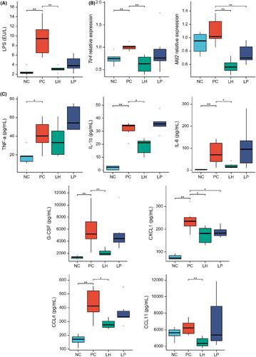 Lactobacillus helveticus attenuates alcoholic liver injury via regulation of gut microecology in mice