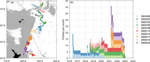 The Deep Western Boundary Current of the Southwest Pacific Basin: Insights From Deep Argo