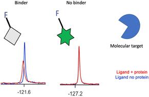 Synthesis of a thiophene-based fluorinated library applied to fragment-based drug discovery via19F NMR with confirmed binding to mutant HRASG12V†