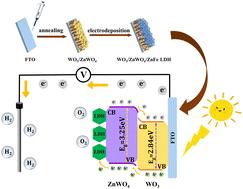 Facile one-step synthesis of a WO3/ZnWO4 heterojunction modified using ZnFe LDH enhances the PEC water splitting efficiency†