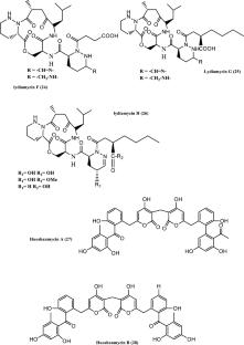 Endophytic Streptomyces: an underexplored source with potential for novel natural drug discovery and development