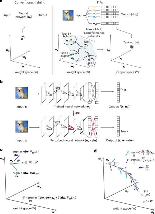 Engineering flexible machine learning systems by traversing functionally invariant paths