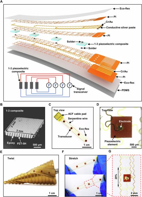 Identification of gas-liquid two-phase flow patterns based on flexible ultrasound array and machine learning