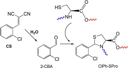 Using 2-(2-Chlorophenyl)thiazolidine-4-carboxylic Acid as a Novel Biomarker for 2-Chlorobenzalmalononitrile Exposure