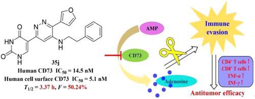 Discovery of Novel 5-(Pyridazin-3-yl)pyrimidine-2,4(1H,3H)-dione Derivatives as Potent and Orally Bioavailable Inhibitors Targeting Ecto-5′-nucleotidase