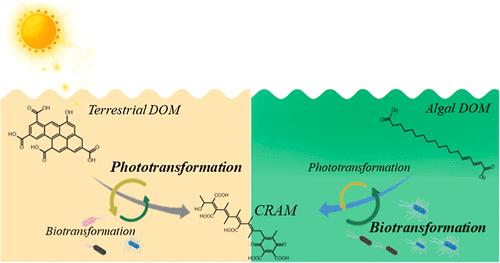 Long-Term Photochemical and Microbial Alterations Lead to the Compositional Convergence of Algal and Terrestrial Dissolved Organic Matter