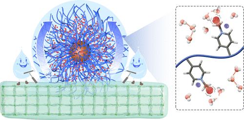 Constructing a Thin Layer of the Concentrated Polyelectrolyte Solution on the Hydrogel Surface That Can Considerably Improve the Solar Evaporation Efficiency