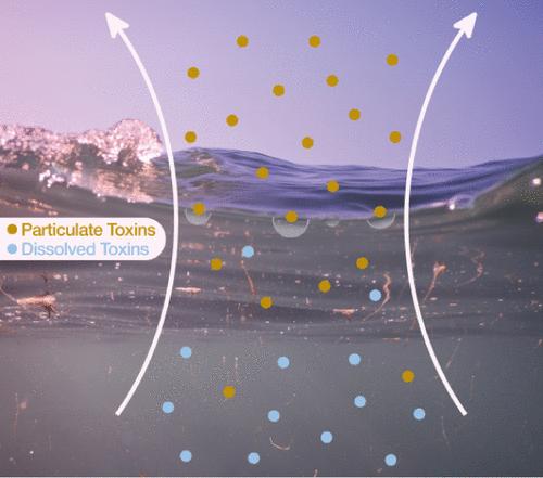 Sea-Air Transfer of Ostreopsis Phycotoxins Is Driven by the Chemical Diversity of the Particulate Fraction in the Surface Microlayer