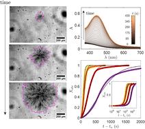 Viologen-based supramolecular crystal gels: gelation kinetics and sensitivity to temperature