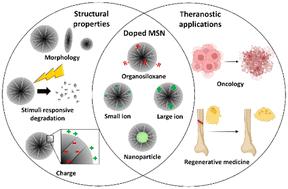 In situ modified mesoporous silica nanoparticles: synthesis, properties and theranostic applications