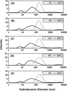 A temperature, pH, and ion sensitive block copolymer with an unusual phase transition: Monomethoxy polyethylene glycol—block-polyethyleneimine